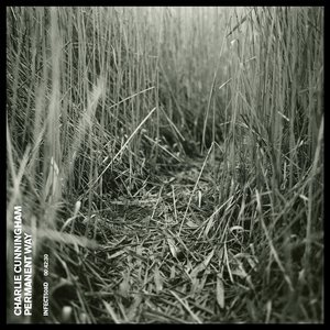 男生把小困困放入女生困困里
