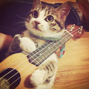 男生把小困困放入女生困困里
